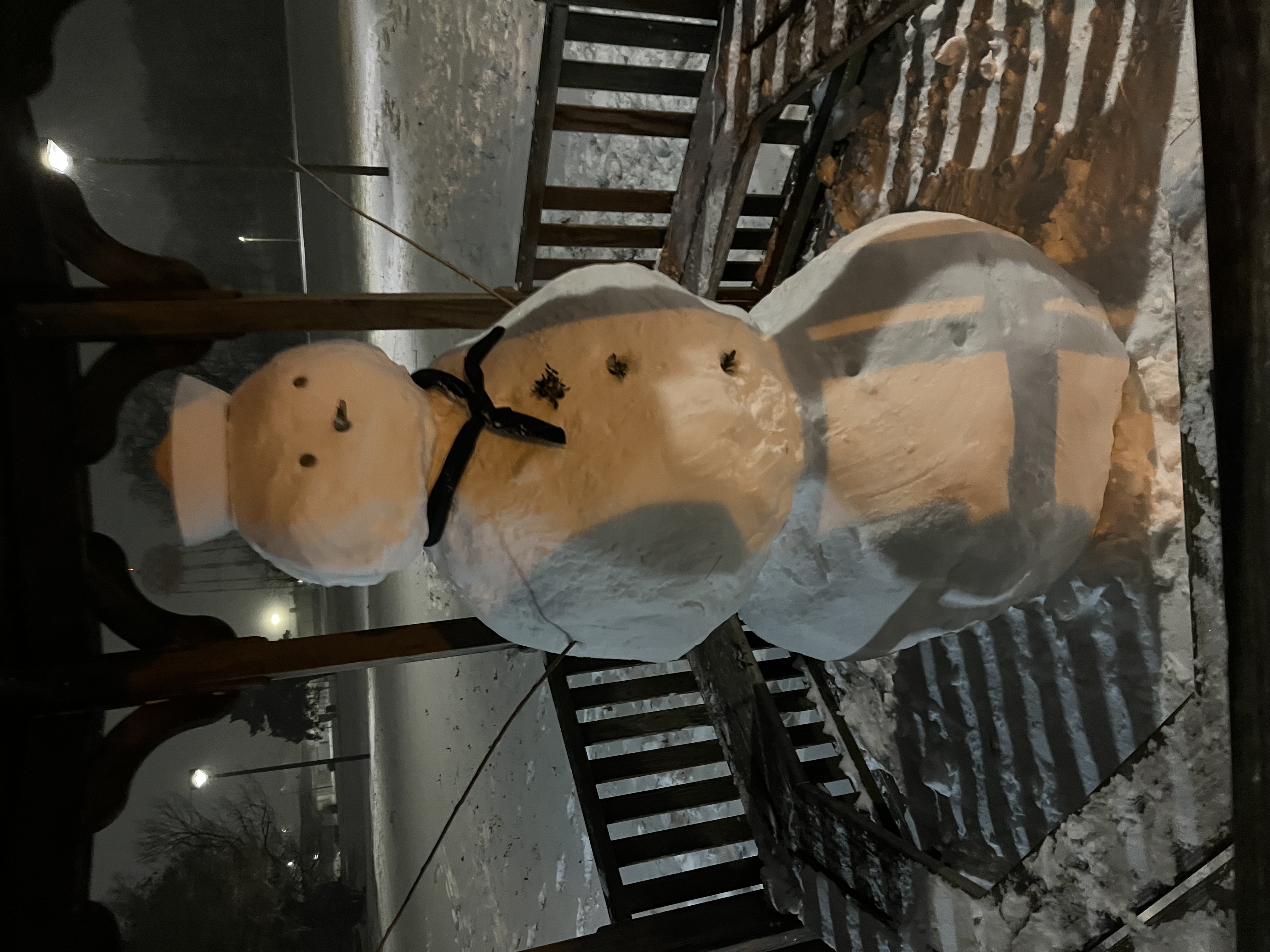 The snowman before destruction